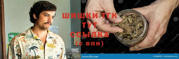 бошки Бородино