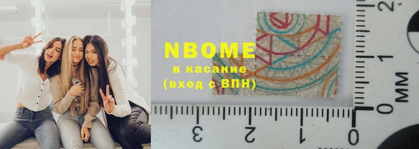 бошки Бородино