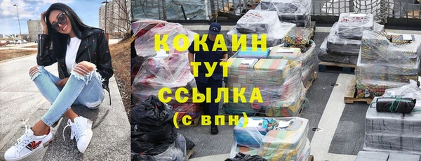 бошки Бородино