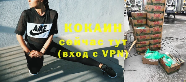 таблы Снежногорск