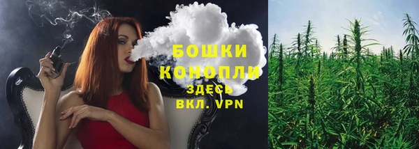 бошки Бородино