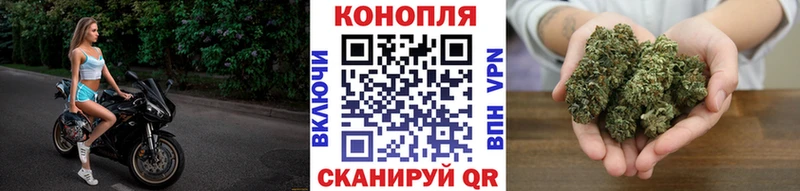 Конопля VHQ  Тбилисская 